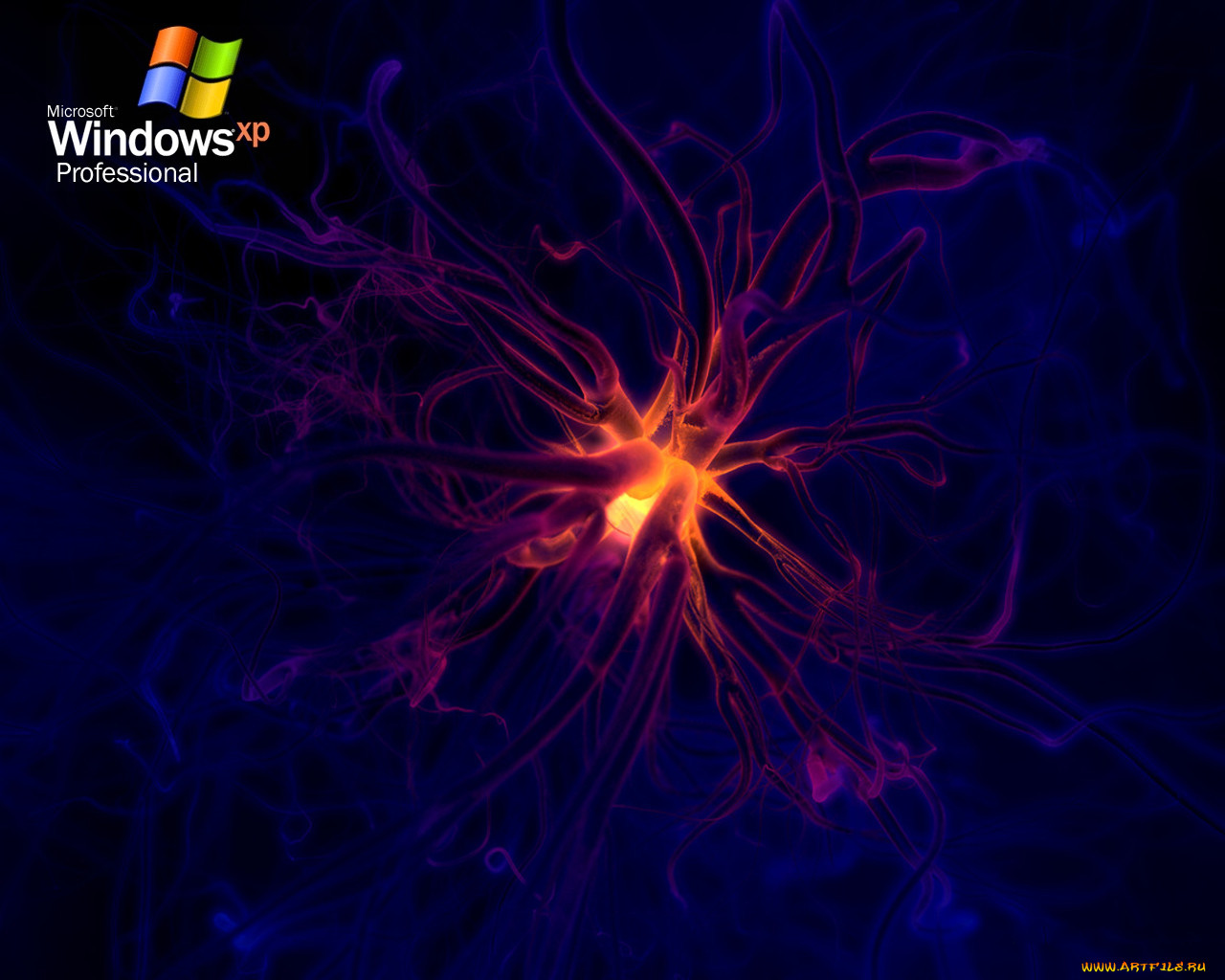 , windows, xp